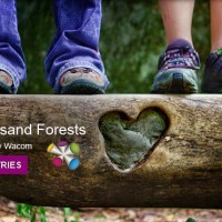 A Thousand Forests